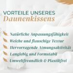 KNERST Daunenkissen 80x80 cm 2er Set – 3-Kammer Made in Germany – Bild 6